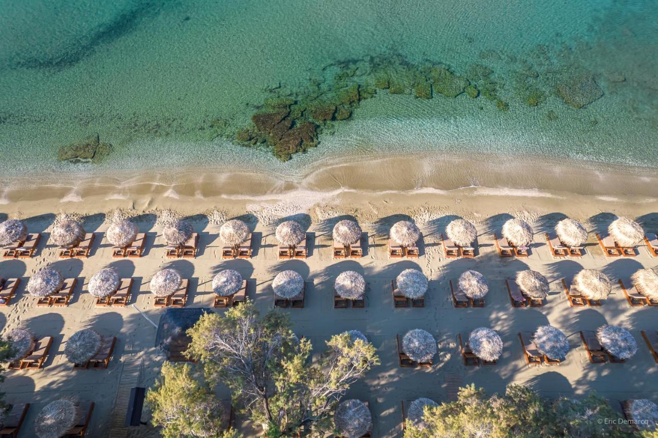 Villa Porto And