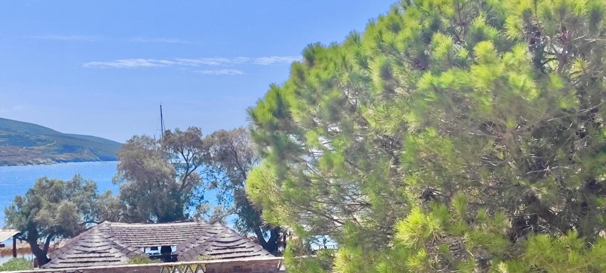 Villa Porto And